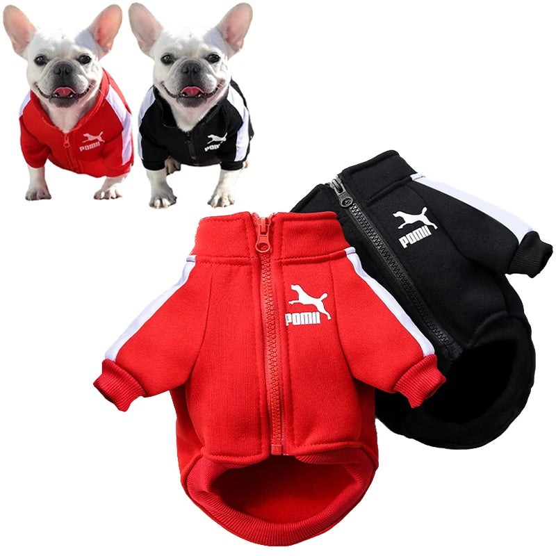 Baseball Dog Jacket - MyPet24 MyPet24 MyPet24 Baseball Dog Jacket