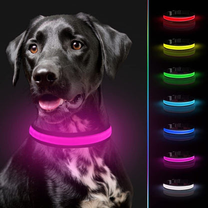 USB Rechargeable LED Pet Dog Collar - MyPet24 MyPet24 My Store USB Rechargeable LED Pet Dog Collar