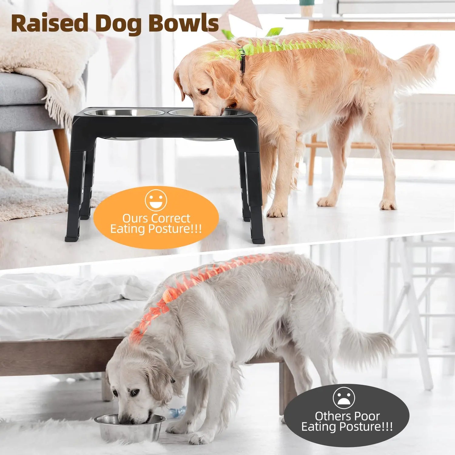 Elevated Dog Feeding Station - MyPet24 MyPet24 MyPet24 Elevated Dog Feeding Station