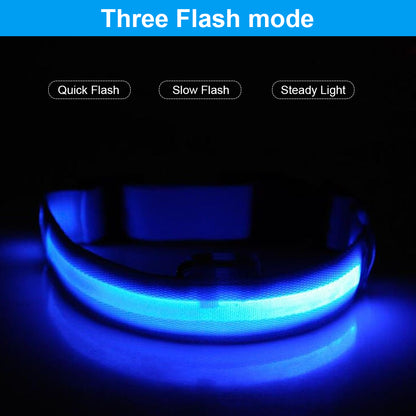 USB Rechargeable LED Pet Dog Collar - MyPet24 MyPet24 My Store USB Rechargeable LED Pet Dog Collar