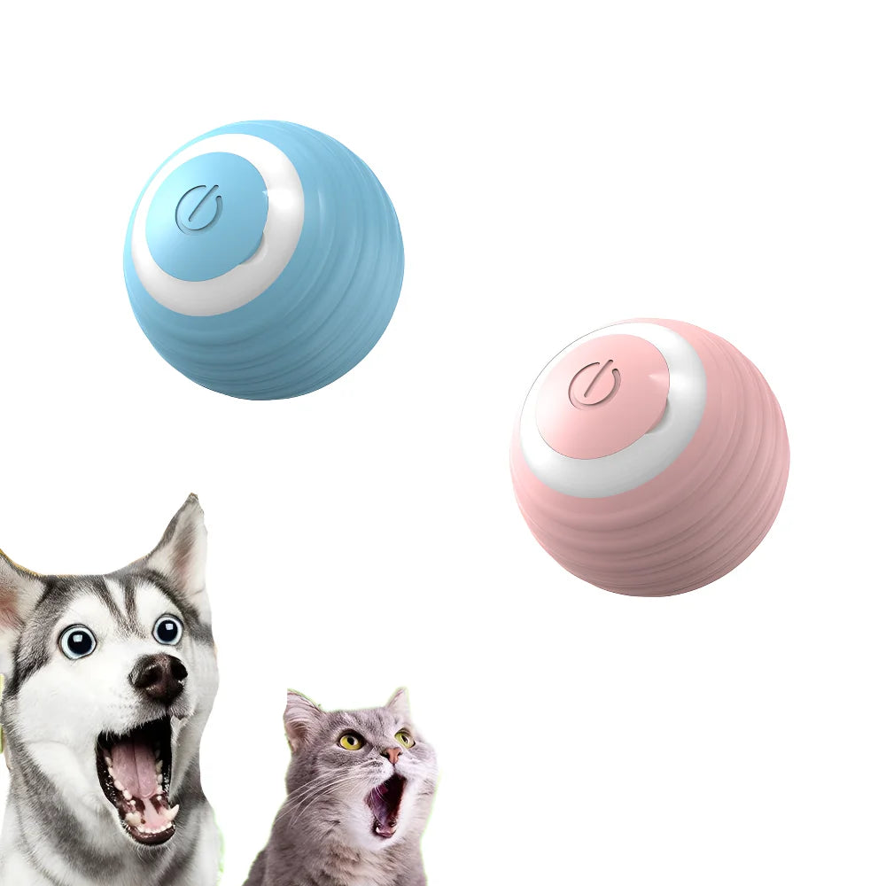 Smart Rolling Ball - MyPet24 MyPet24 My Store Smart Rolling Ball