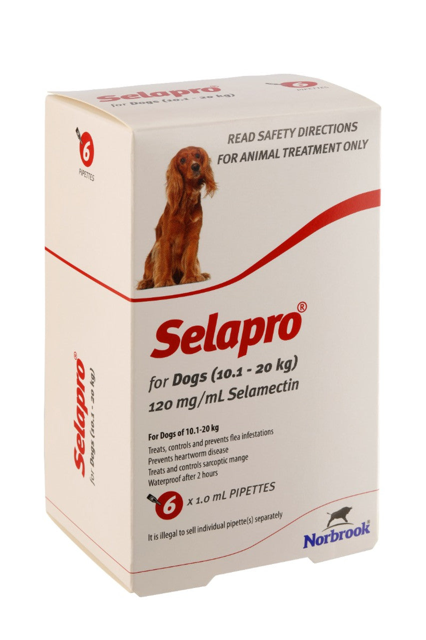 Selapro® Spot on Medium Dog 3Pk